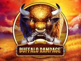 Buffalo Rampage game cover